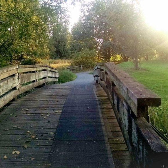 Hi This is Samson & I’m Kathy! I’m So glad you stopped by - I love offers ♥️🙏🛍 - Picture 15 of 15